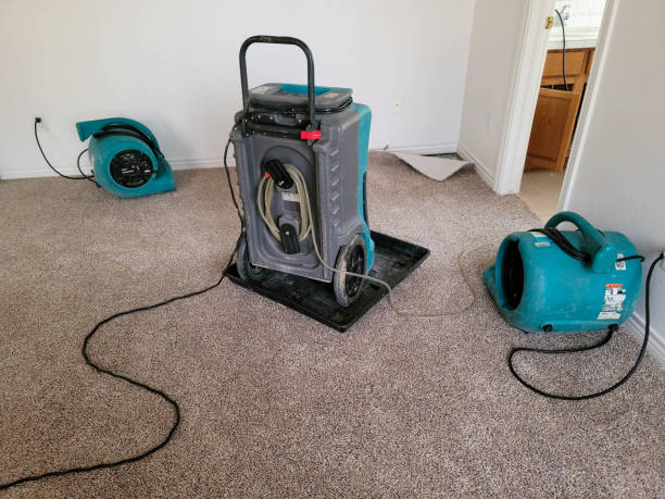 Best Water damage restoration specialists  in Wesley Chapel, FL