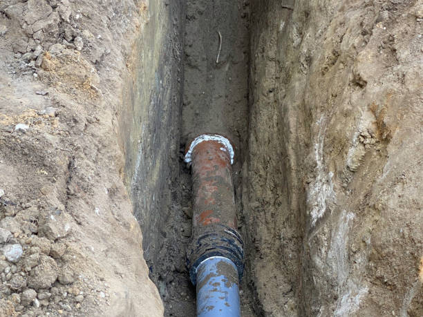 Best Sewage cleanup and water damage restoration  in Wesley Chapel, FL