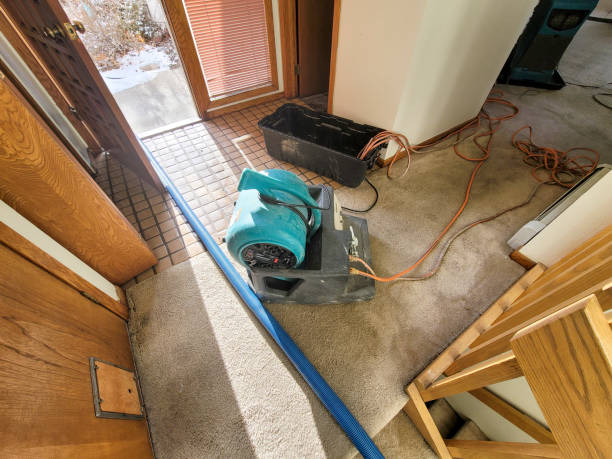 Best Fire Damage Restoration  in Wesley Chapel, FL