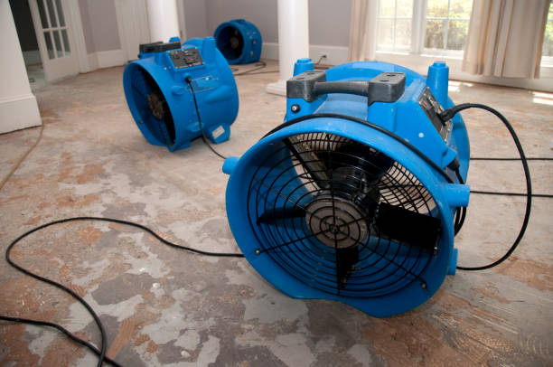  Wesley Chapel, FL Water damage restoration Pros