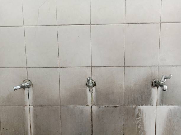 Best Emergency water damage restoration  in Wesley Chapel, FL