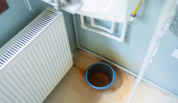 Best Mold removal after water damage  in Wesley Chapel, FL