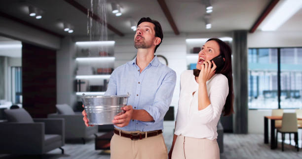 Best Carpet water damage restoration  in Wesley Chapel, FL