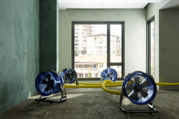 Best Water damage contractors near me  in Wesley Chapel, FL